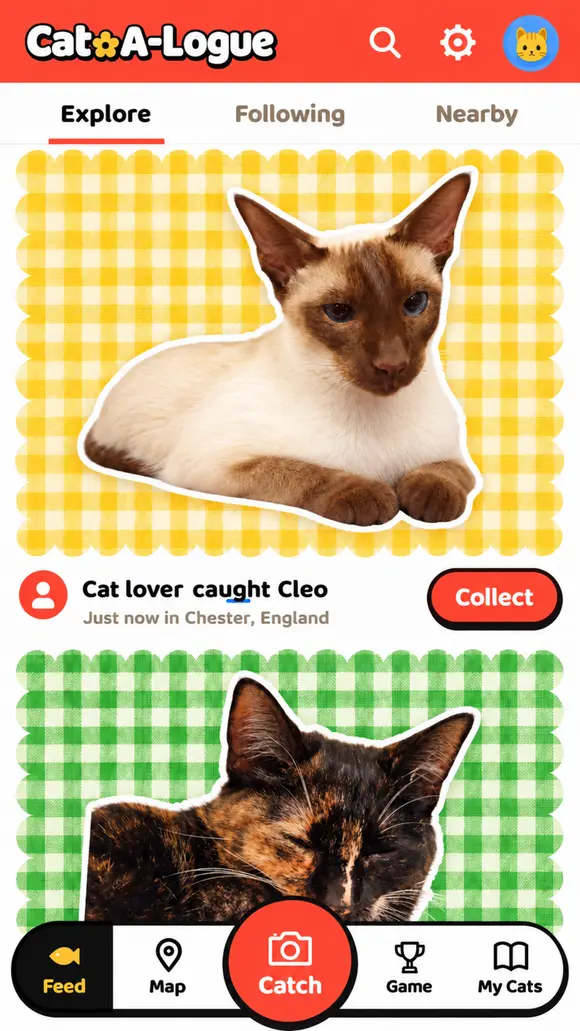 Illustrative feed preview
